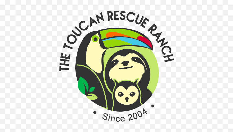 Donate To A Rescue Animalu0027s Wishlist Cuddly Emoji,Cuddle Team Emoticon Under A Rocky Umbrella