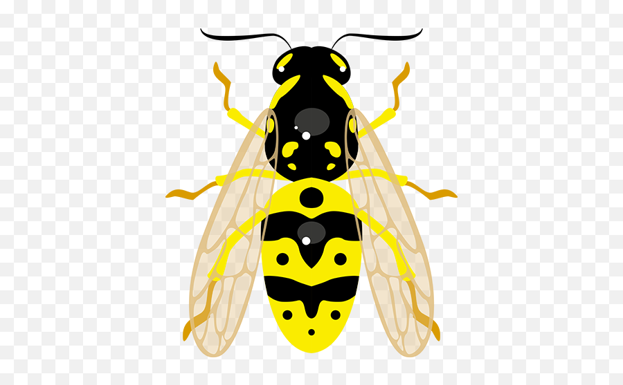 Safule Lociwi - Insects Emoji,Dragonfly Emoji