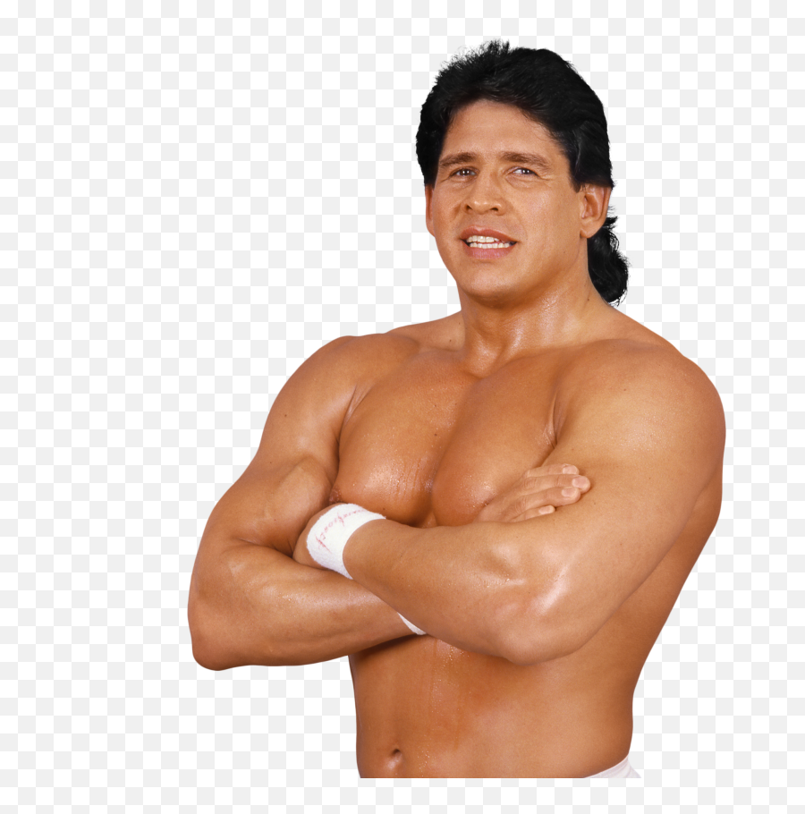 Wrestling Fans Yearn For Return To Arenas After Pandemic - Wwe Tito Santana Emoji,Wrestling Emotions