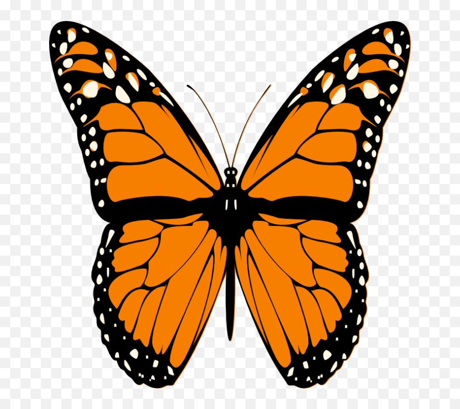 Butterfly Images - Google Search Orange And Black Clipart Monarch Butterfly Emoji,Pink Butterfly Emoji