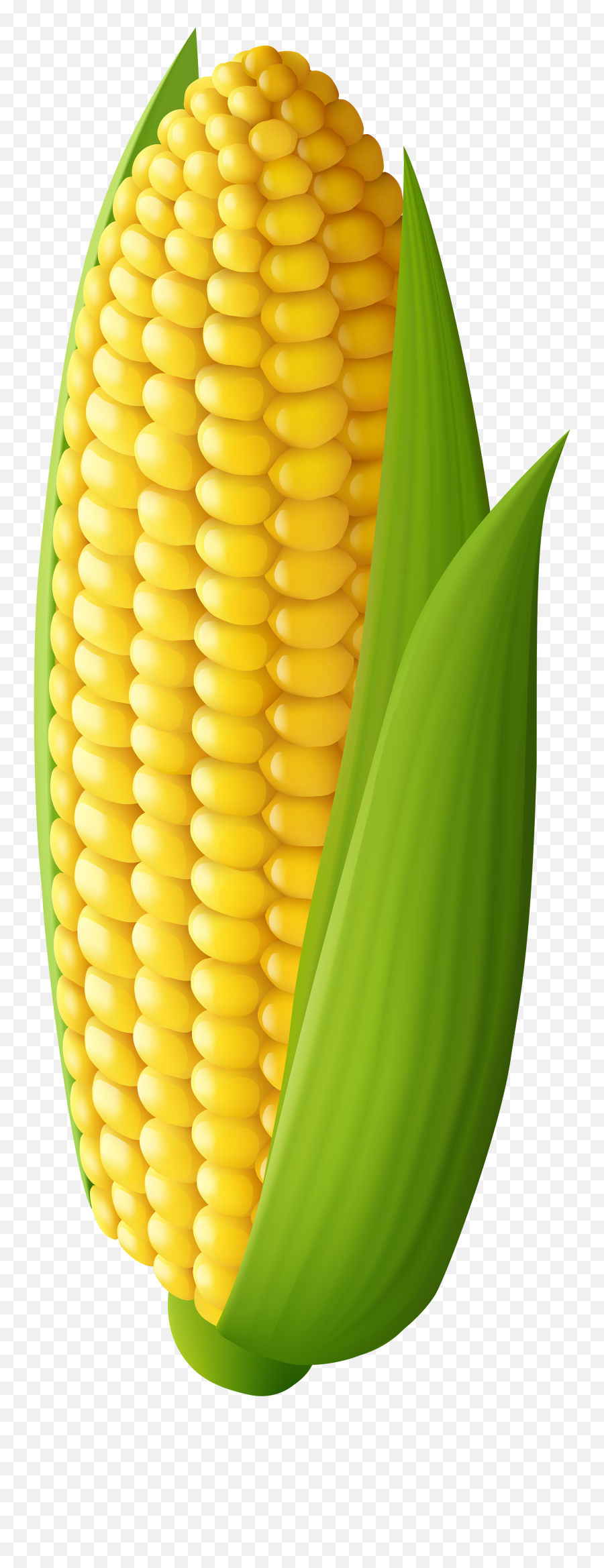 Farm Clipart Corn Farm Corn Transparent Free For Download Emoji,Corn Emoji