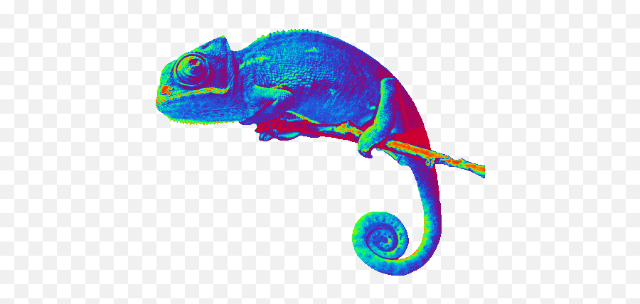 Chameleon - Chameleon Animated Gif Transparent Emoji,Chameleon Emoji