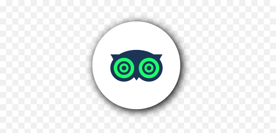 Whistle X Webrezpro Success Story - Dot Emoji,Fixing Table Emoticon