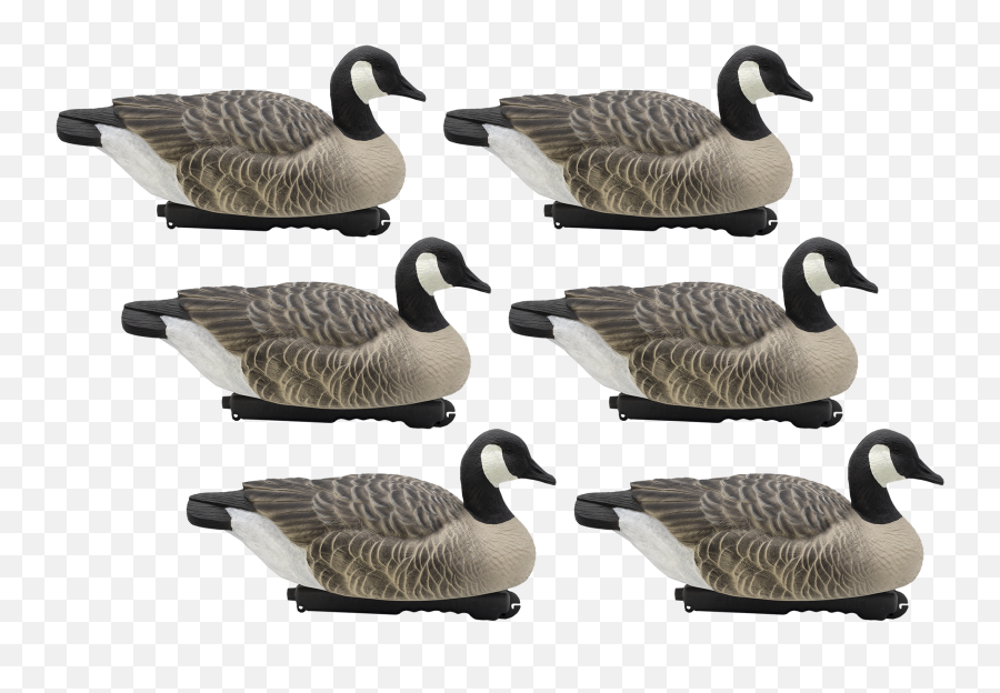 Floating - Final Approach Decoys Emoji,Canadian Goose Emoticon