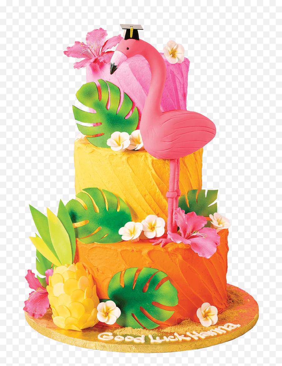 Hy - Vee Seasons Celebrate And Plan Your Birthday With Hyvee Emoji,Apple Cake Emoji