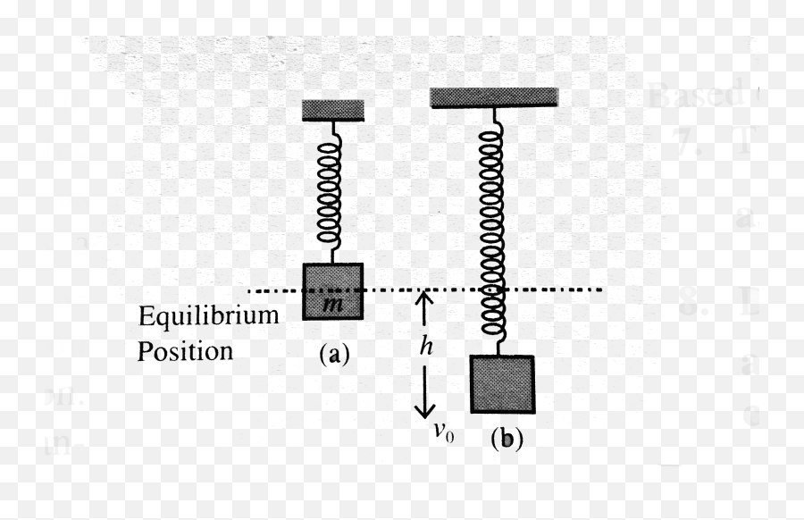 Spring Executes Harmonic Motion - Vertical Emoji,Equilibrium Killer Of Emotions