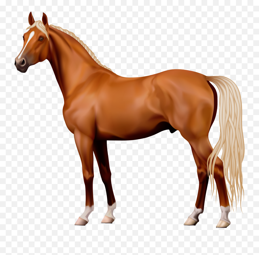 Confused Clipart Telephone Confused Telephone Transparent - Horse Clipart Transparent Background Emoji,Horse Emoticon