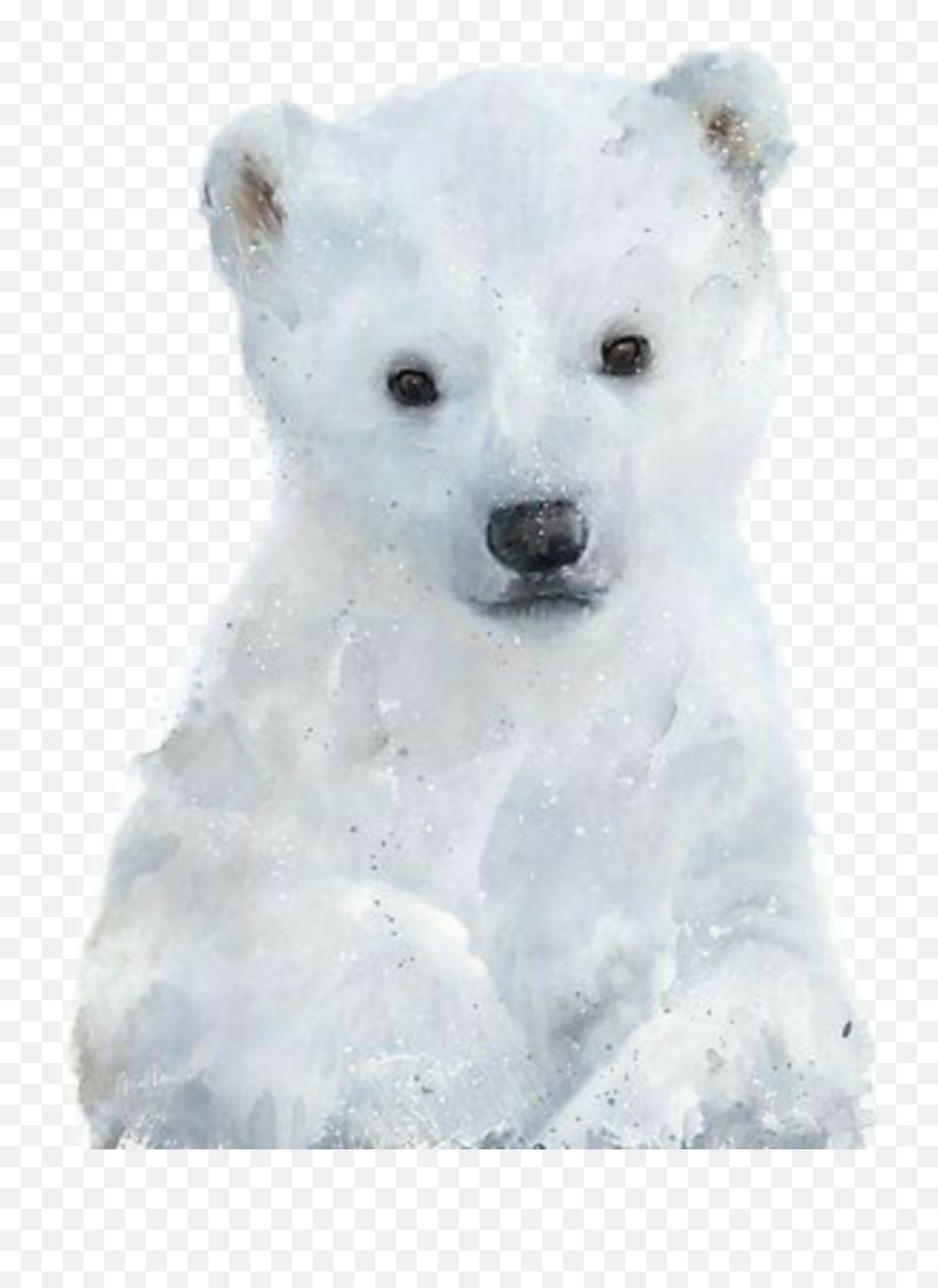 Polar Bear Sticker Challenge - Soft Emoji,Polar Bear Emojis