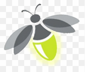 Download Free Firefly Transparent Icon - Transparent Firefly Clipart Emoji,Fireflies Meme Emojis
