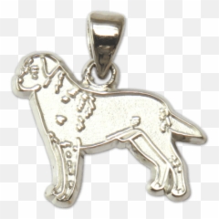 21 Valentineu0027s Day Gifts For Dogs And The People Who Love - Solid Emoji,Dog Ptbull Emojis