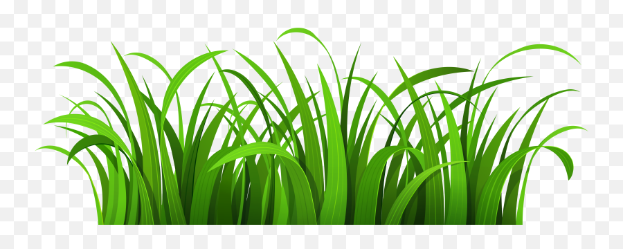 Product Info News - Grass Clipart Emoji,Plant, Emotions, Clipart