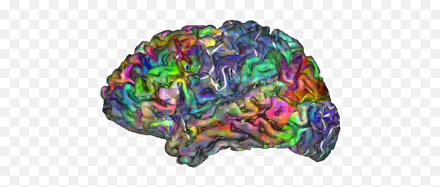 Brainu0027s U0027thesaurusu0027 Mapped To Help Decode Inner Thoughts - Semantic Map Brain Emoji,The Emotion Thessaurus