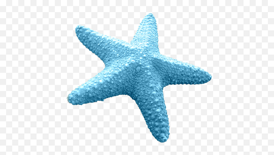 Download Discover Ideas About Cartoon Starfish - Blue Cartoon Starfish Emoji,Starfish Emoticon For Facebook