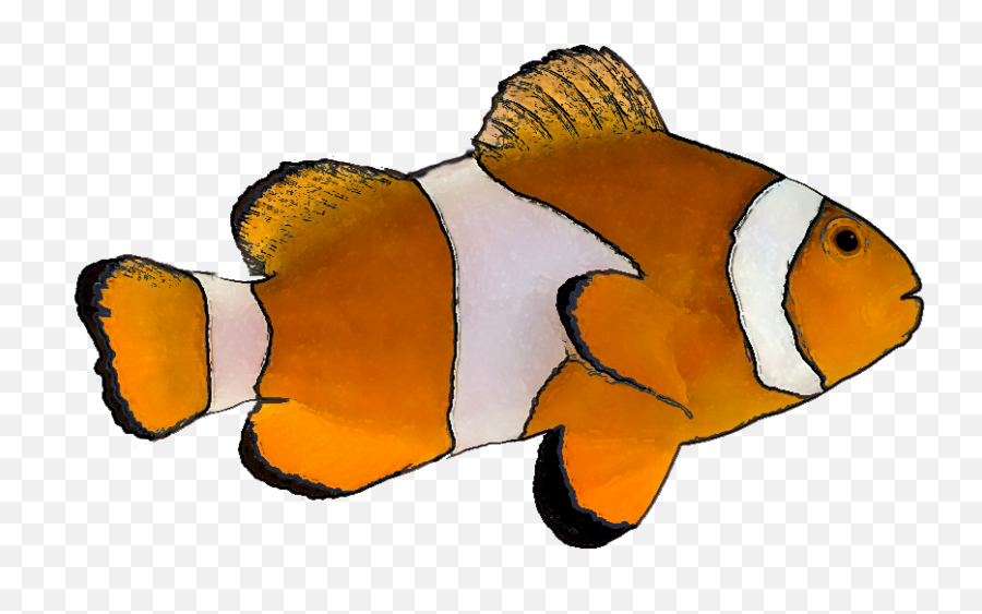 Clown Fish Clip Art - Clipartsco Emoji,Nemo Fish Emojis
