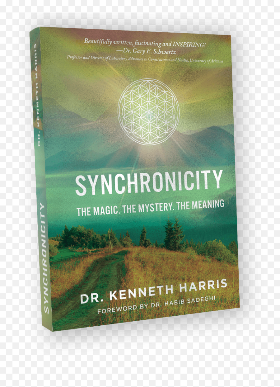 Synchronicity The Magic - The Mystery The Meaning By Dr Emoji,John Leavitt Emotion
