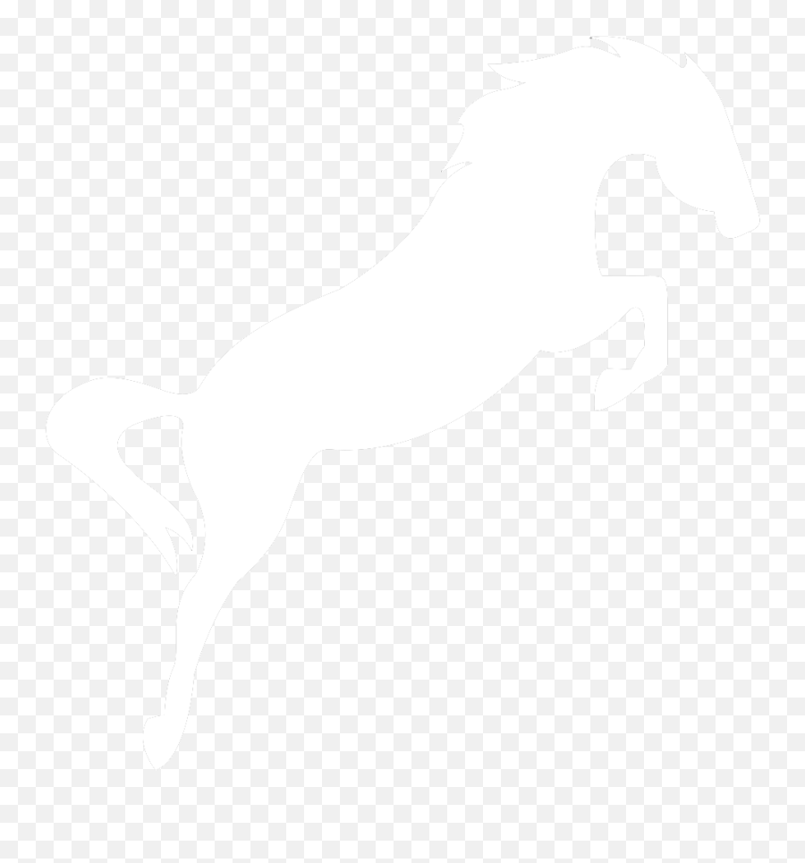 Do You Only Have Horse Racing Tipsters - Horse Clipart Automotive Decal Emoji,Horse Riding Emoji