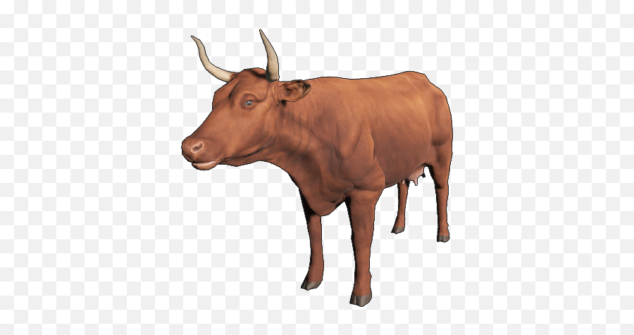 Ayrshire Cattle Animallica Wiki Fandom Emoji,Cow Emoji