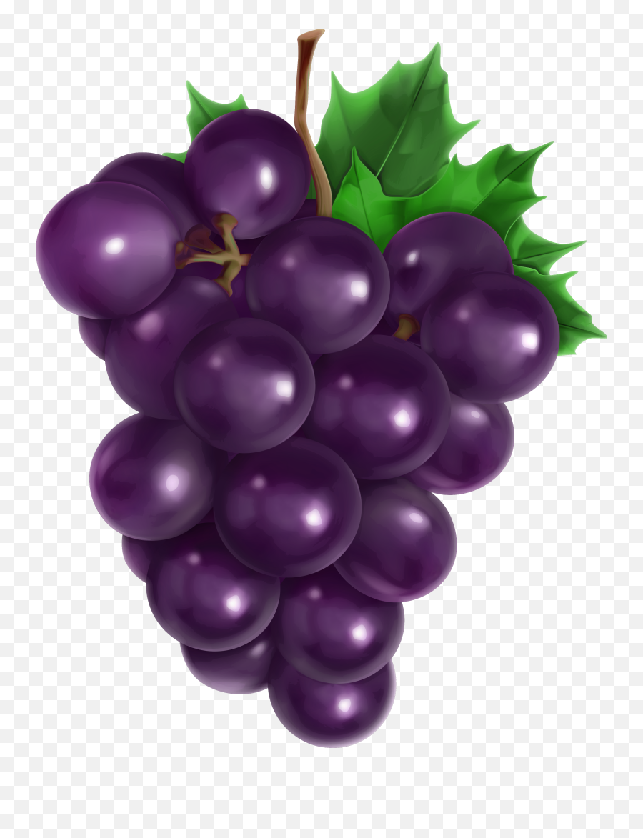 Some Vs Any - Baamboozle Grapes Png Clipart Emoji,Takoyaki Emoji