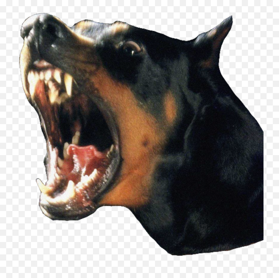 Barking Dog Barkingdog Darkaesthetic - Dobermann Aesthetic Emoji,Barking Dog Emoji