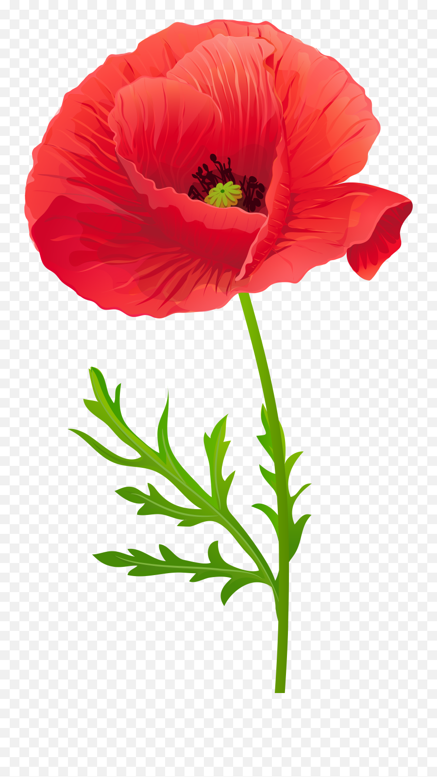 Free Red Poppy Cliparts Download Free - Red Poppy Flower Clipart Emoji,Remembrance Poppy Emoji