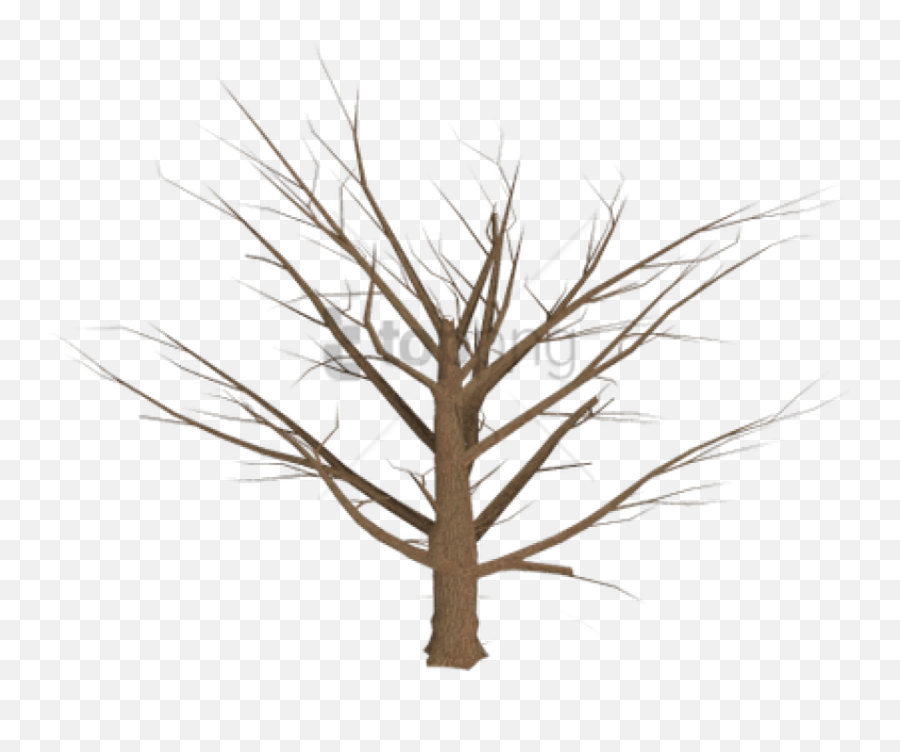 Download Grasses Drawing Dead Grass - Transparent Dead Plant Png Emoji,Dead Tree Emoji