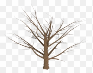 Download Grasses Drawing Dead Grass - Transparent Dead Plant Png Emoji,Dead Tree Emoji