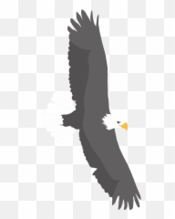 White Black Eagle Is Flying As A Clipart - Eagle Emoji,The Emotions Of Eagles
