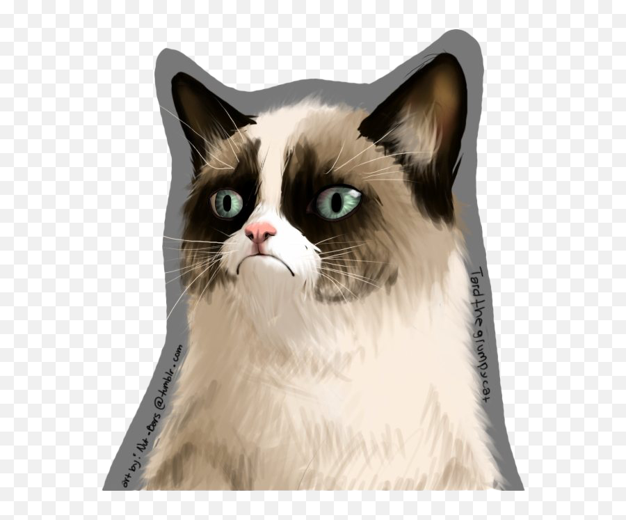 Grumpy Cat Vector Illustration Pnglib U2013 Free Png Library - Grumpy Cat Transparent Gif Background Emoji,Grumpy Cat Emoji Png