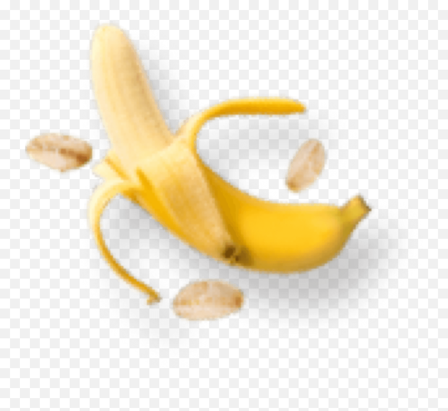 Charles U0026 Aliceu0027s Fruit Probiotics - Ripe Banana Emoji,Big Banana Emoji