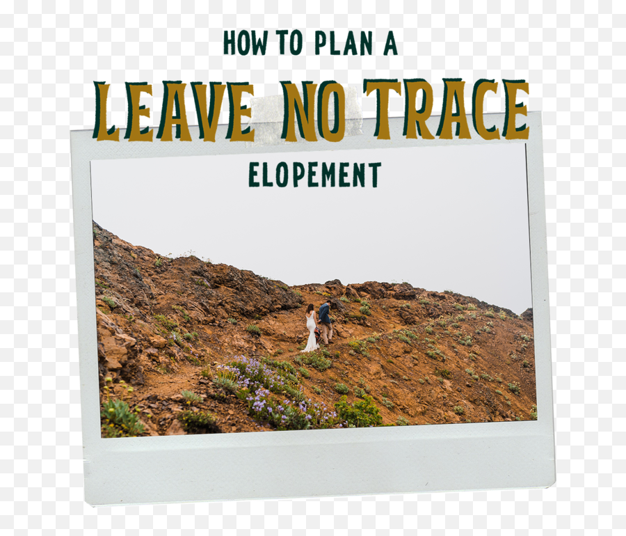 How To Plan A Leave No Trace Elopement U2014 Between The Pine - Outcrop Emoji,Don T Go Wasting Your Emotions
