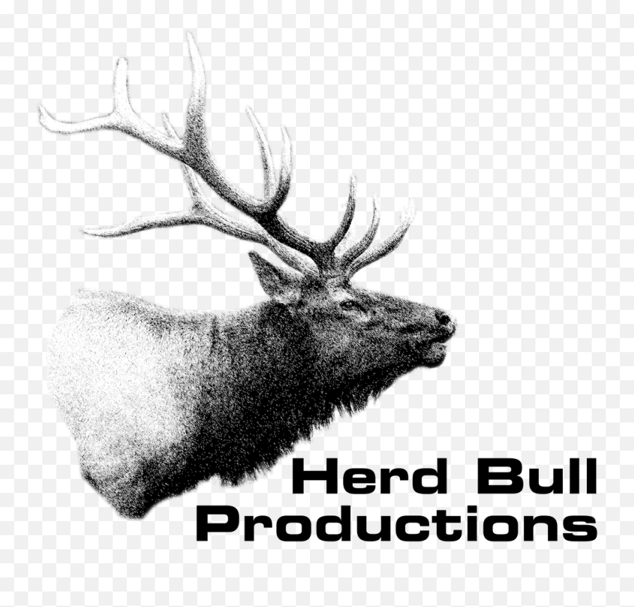 Bart Schleyer Remembered Herdbullproductions Emoji,Emotion Sparky Klength