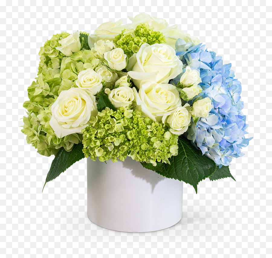 Luxe Home Garden Grand Rapids Florist Crescent Floral Emoji,Emotions Deluxe Family Rooms