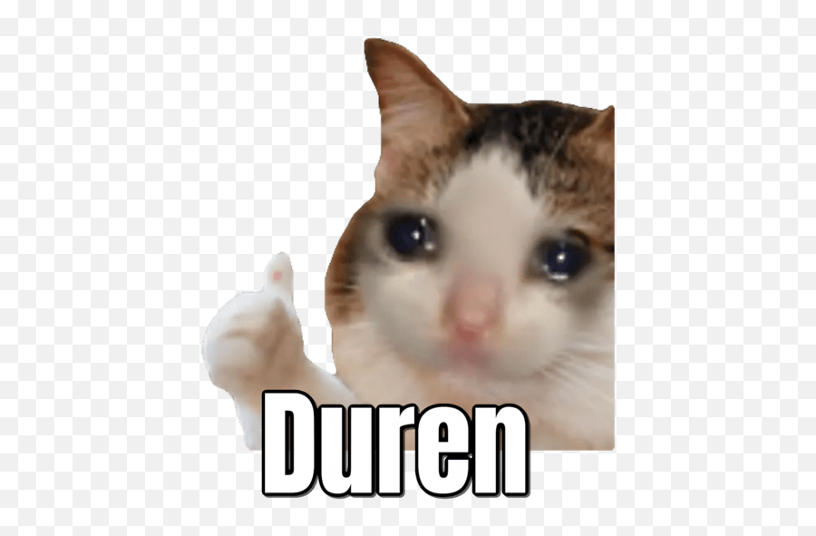 Memes Vol 7 - Sticker Duren Emoji,Cat Emoji Meme
