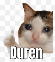 Memes Vol 7 - Sticker Duren Emoji,Cat Emoji Meme