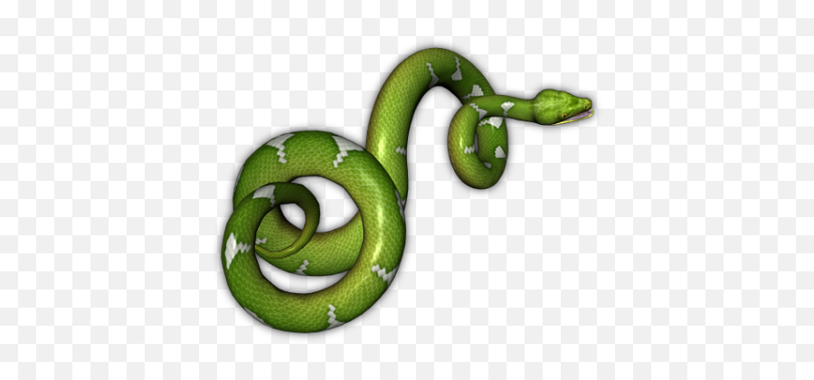 Smooth Green Snake Png U0026 Free Smooth Green Snakepng - Green Snake Transparent Background Emoji,Snake Emoji Png