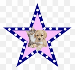 Dansmarieke - Water Dog Emoji,Webfetti Emoticons