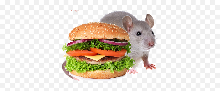 Burger Rats By Gias Ahmed - Hamburger Emoji,Emojis Burger