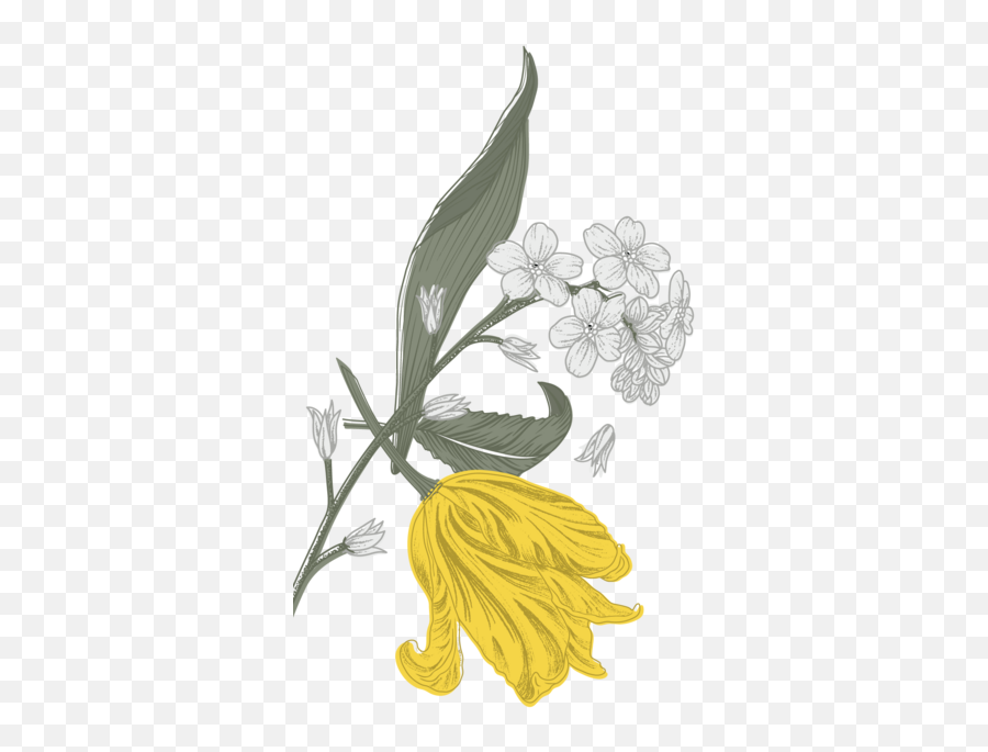 Quantum Botanicals I School Of Natural - Sketch Emoji,Plants Emotions Art