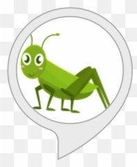 Alexa Emoji,Cricket Sound Emoji