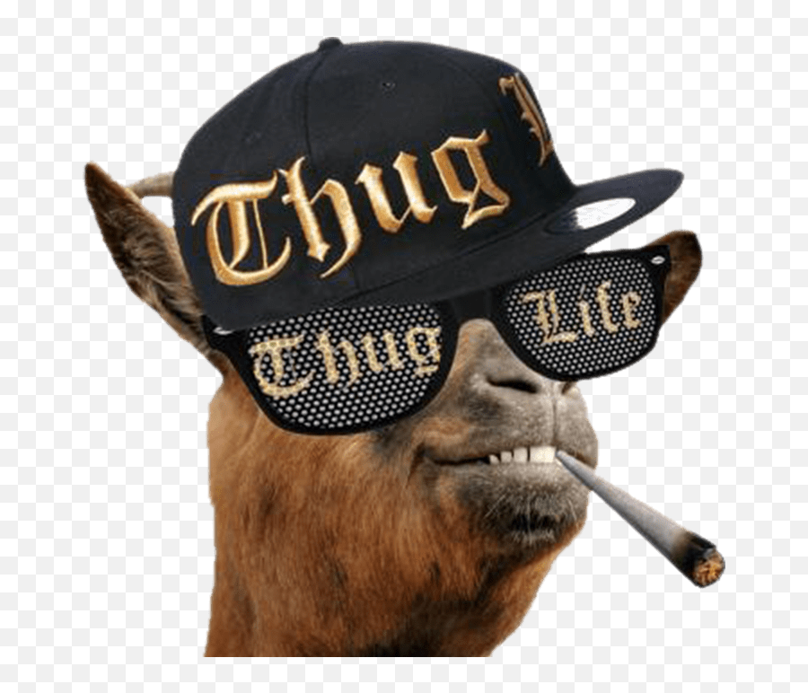 Png Images Memes Meme - Thug Life Man Png Emoji,My Emotions Smoke Meme