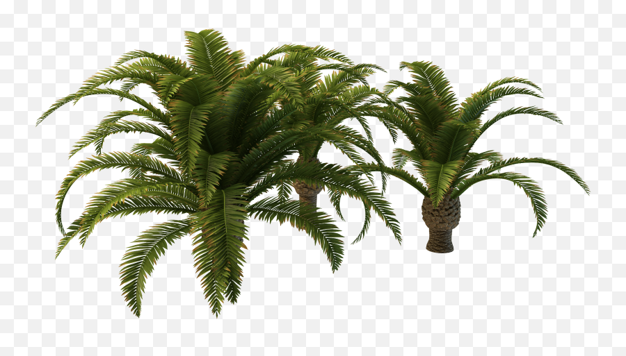 Fastest Palm Tree Clipart Png Emoji,2 Palms Emoji