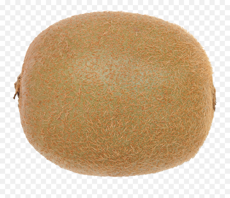 Brown Fruit Png Transparent Png Emoji,Cantaloupe Emoji