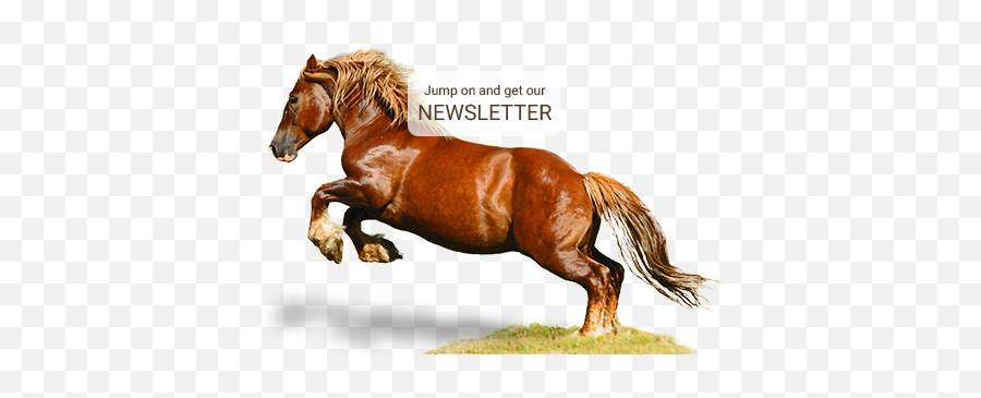 Horse Riding Holidays In Spain - Panoramatrails Emoji,Powerpoint Emojis Horse