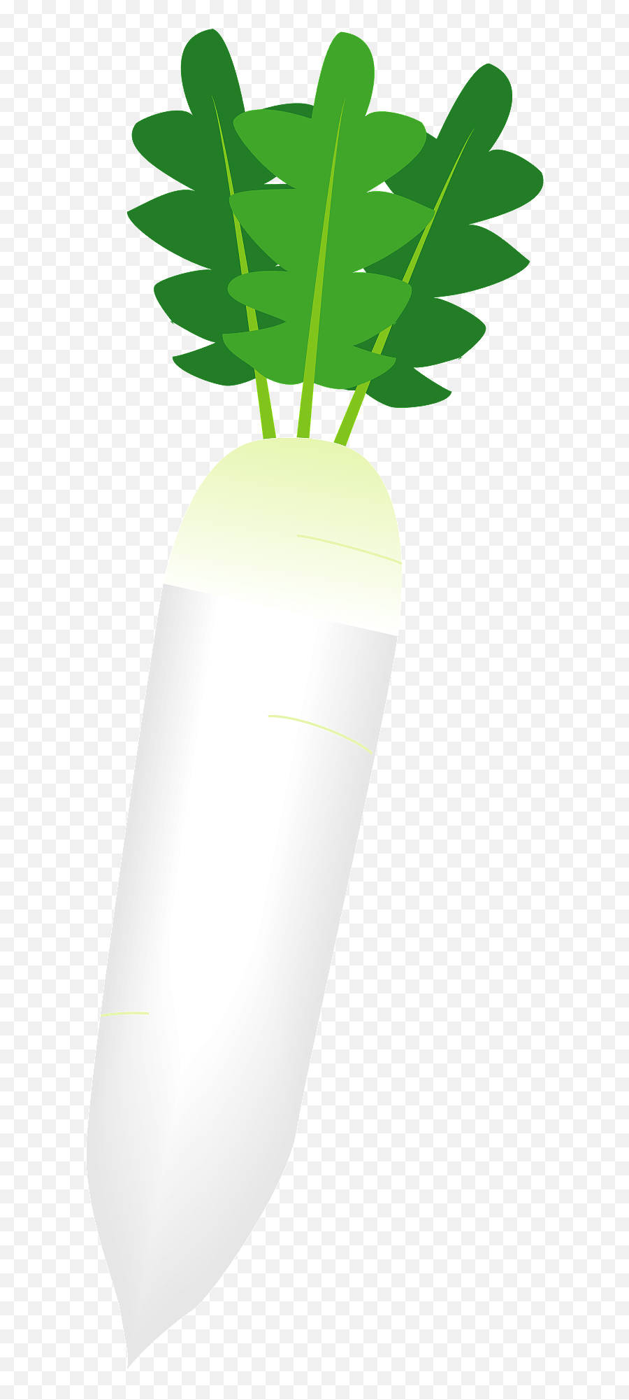 Daikon Radish Clipart Free Download Transparent Png Emoji,Turnip Emoji