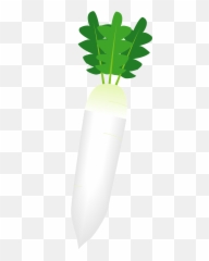 Daikon Radish Clipart Free Download Transparent Png Emoji,Turnip Emoji