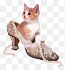 Top Chat Stickers For Android Ios - Gif De Gatita Coqueta Emoji,Chat Gif Emoticons