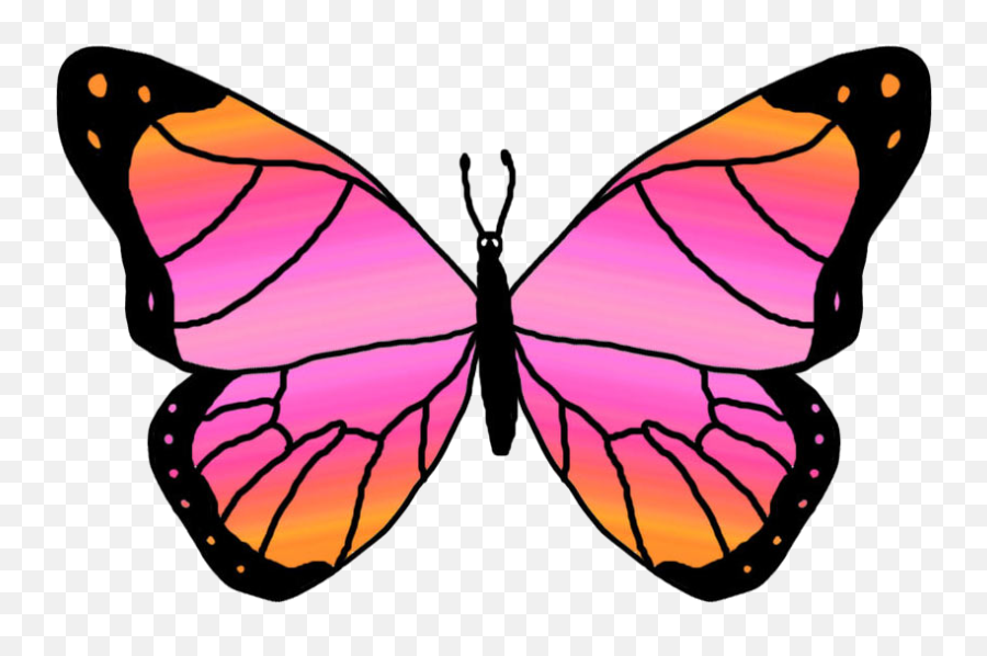 Butterflies Clip Art Clipart - Clipartix Beautiful Butterfly Butterfly Cartoon Emoji,Pink Butterfly Emoji