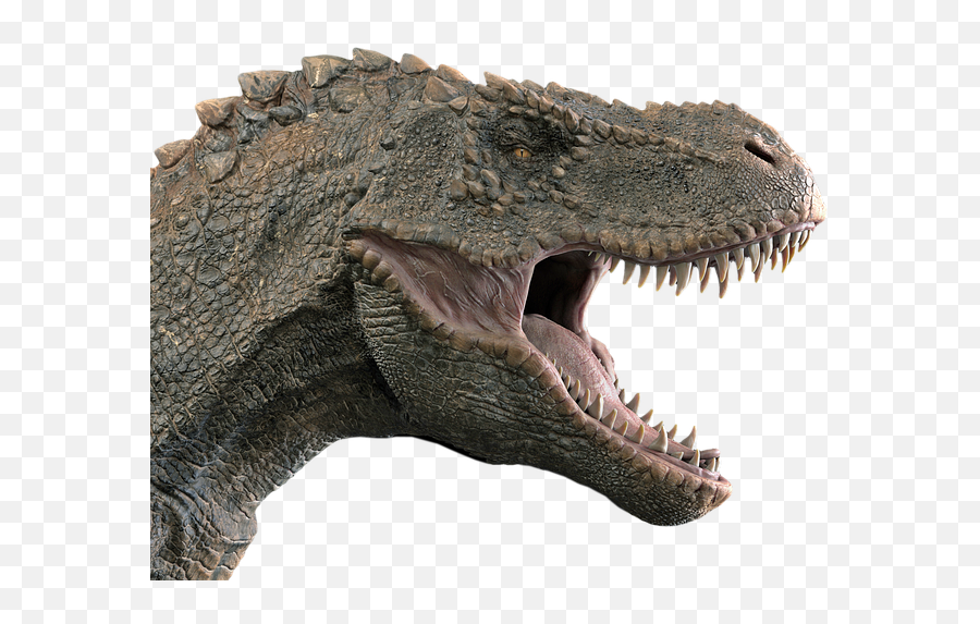 400 Free Dino U0026 Dinosaur Photos - Pixabay Roaring T Rex Head Emoji,Dinosaur Emotions
