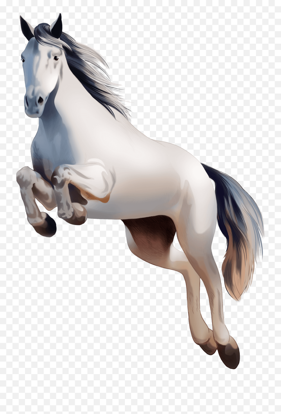 Sport Horse Png U0026 Free Sport Horsepng Transparent Images - Animal Figure Emoji,Horse Emoticon