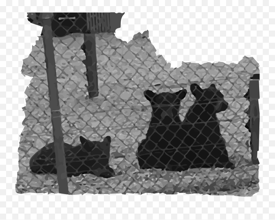 Yellowstone Bear World Idahou0027s 1 Bear Cub Mill - Scholarday Dog Emoji,I Don't Have Lion Face In My Emoji Set